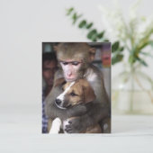carte postale de singe et de chien (Debout devant)