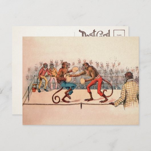 Carte postale de singes de boxe victorienne (Devant / Derrière)