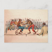 Carte postale de singes de boxe victorienne (Devant)