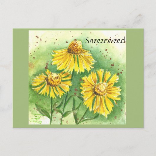 Carte postale de Sneezeweed (Devant)