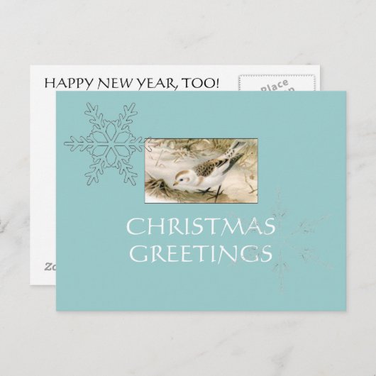 Carte postale de Snow (Devant / Derrière)