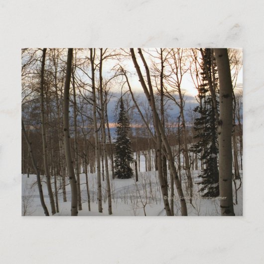 Carte postale de soirée d'hiver (Devant)