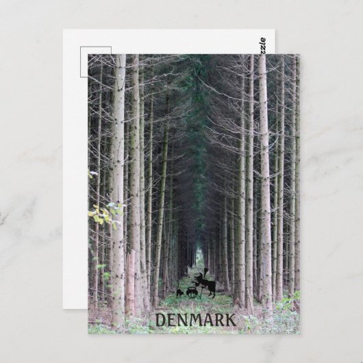 Carte postale de sorcière danoise cool ! (Devant / Derrière)