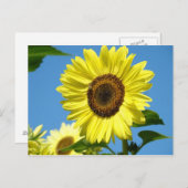 CARTE POSTALE DE SOUPLESSE Fleurs d'été (Devant / Derrière)