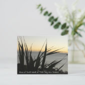 Carte postale de South Island (Debout devant)