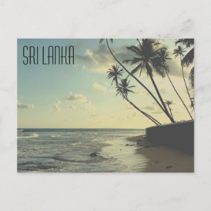 Carte postale de Sri Lanka Turtle Beach