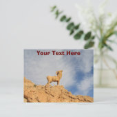 Carte postale de statue de chèvre tunisienne perso (Debout devant)
