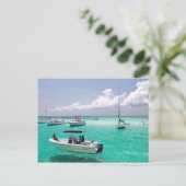 Carte postale de Stingray City Grand Cayman Island (Debout devant)