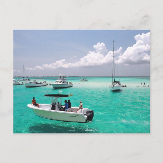 Carte postale de Stingray City Grand Cayman Island (Devant)