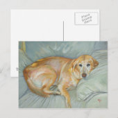 Carte postale de Stoli (Devant / Derrière)