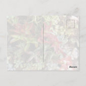 Carte postale de succulentes (Dos)