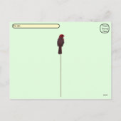 Carte postale de surveillance des oiseaux cardinau (Dos)