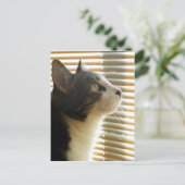 Carte postale de Syrus 001 (Debout devant)