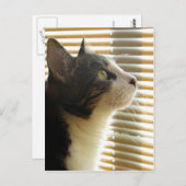 Carte postale de Syrus 001 (Devant / Derrière)