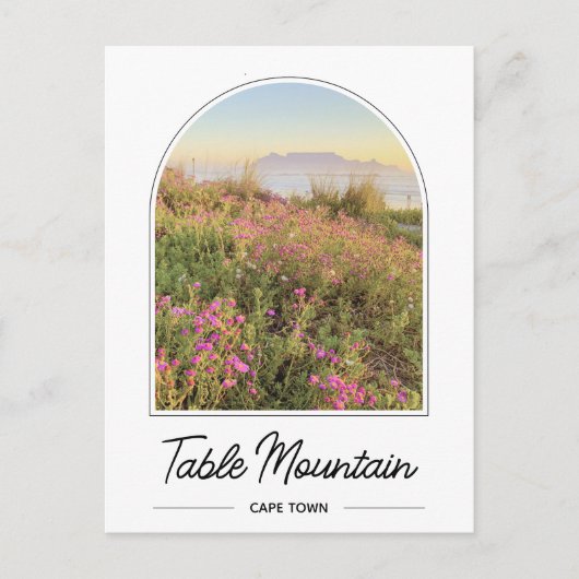 Carte postale de Table Mountain Le Cap Afrique du  (Devant)