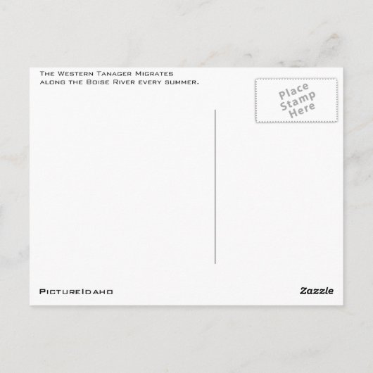 Carte postale de Tanager occidental (Dos)