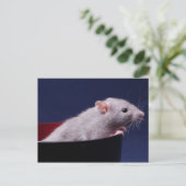 Carte postale de Tempy Bowl (Debout devant)