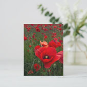 Carte postale de terrain (Debout devant)