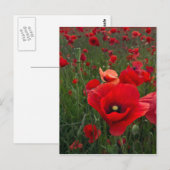 Carte postale de terrain (Devant / Derrière)