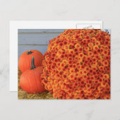 Carte postale de thanksgiving (aucun texte) (Devant / Derrière)