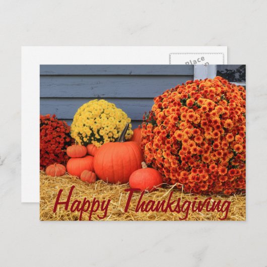 Carte postale de thanksgiving (avec le texte) (Devant / Derrière)