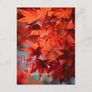Carte postale de Thanksgiving / Feuilles rouges d'