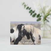 Carte postale de Thor McCullough Peaks Wild Horse (Debout devant)