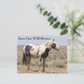 Carte postale de Thor McCullough Peaks Wild Horse (Debout devant)