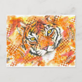 carte postale de tigre (Devant)