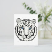 Carte postale de tigres blancs (Debout devant)