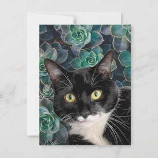 Carte postale de Top Cat
