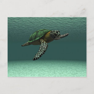 Carte postale de tortue de mer