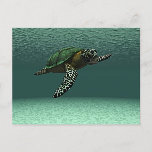 Carte postale de tortue de mer (Devant)
