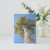 Carte postale de tour de paume (Debout devant)