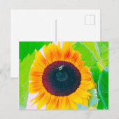 Carte postale de tournesol et d'abeille (Devant / Derrière)