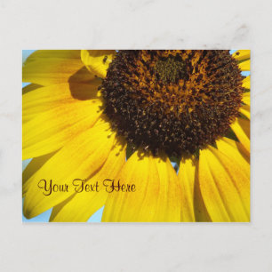 Carte postale de tournesol jaune. -Personnalisable