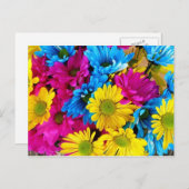 Carte postale de tournesol multicolore (Devant / Derrière)