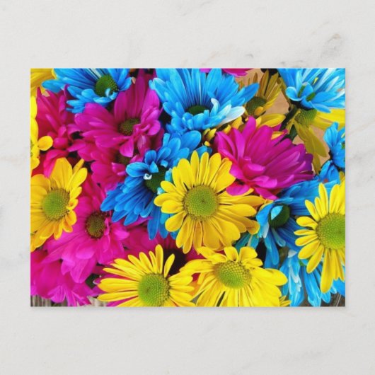 Carte postale de tournesol multicolore (Devant)