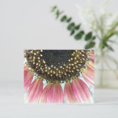 Carte postale de tournesol rose (Debout devant)