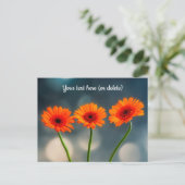 Carte postale de trois Gerberas orange alignés (Debout devant)