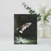 carte postale de truite arc-en-ciel (Debout devant)