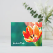 Carte postale de tulipe orange unique (Debout devant)