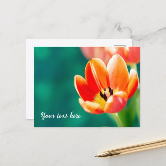 Carte postale de tulipe orange unique (Devant/Arrière en situation)