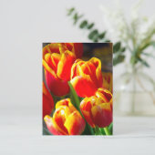 Carte postale de tulipes (Debout devant)