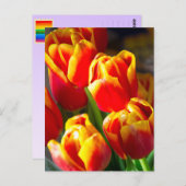 Carte postale de tulipes (Devant / Derrière)