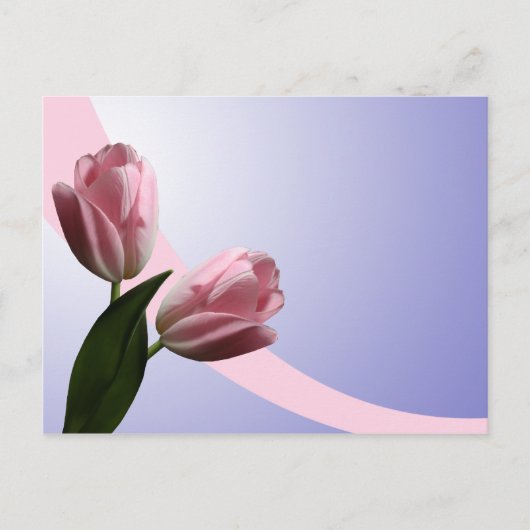 Carte postale de tulipes printanières pour sauvega (Devant)