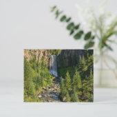 Carte postale de Tumalo Falls (Debout devant)
