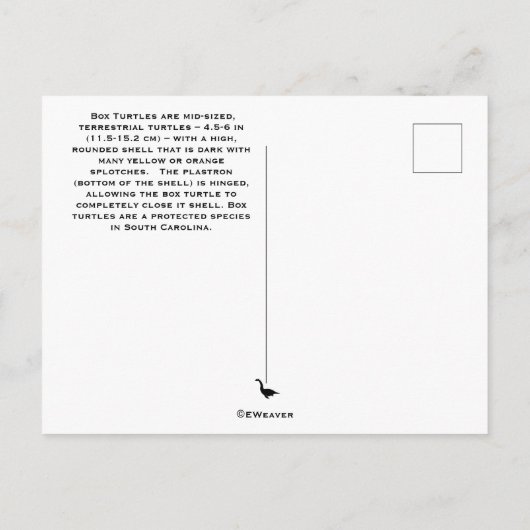 Carte postale de Turtle (Dos)