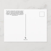 Carte postale de Turtle (Dos)