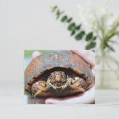 Carte postale de Turtle (Debout devant)